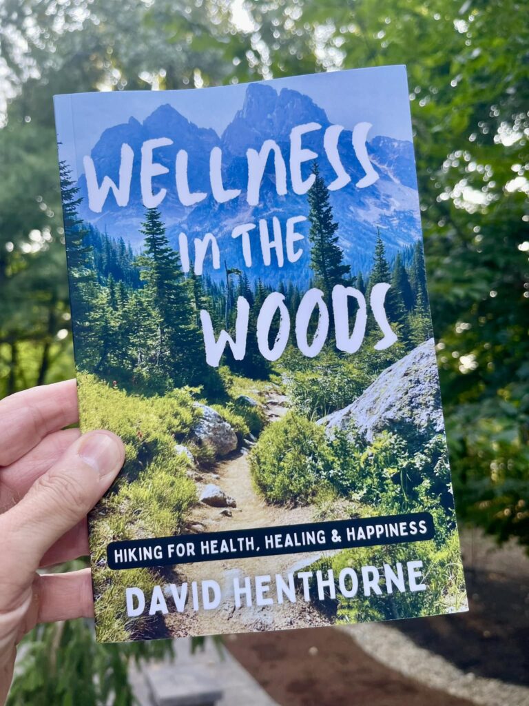 Wellness in the Woods Book Cover